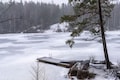 Indian Americans die after falling in frozen lake in Arizona