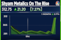 Shyam Metalics and Energy shares shine as Street cheers Mittal Corp acquisition