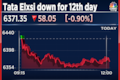 Tata Elxsi shares decline for 12th day in a row, longest losing streak since July 2019