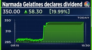 Narmada Gelatine shares end in a 20% circuit after declaring special dividend