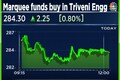 Marquee funds buy into Triveni Engineering post large block on Thursday