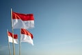 Defence minister Subianto claims victory in Indonesia's presidential election based on early tallies