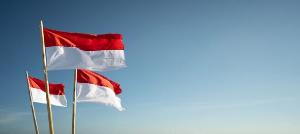 Indonesia election to shape reform agenda in post-Jokowi era