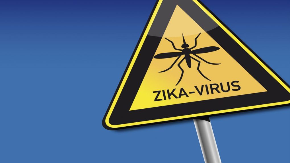 5-Year-Old Girl First Confirmed Zika Virus Patient In Karnataka