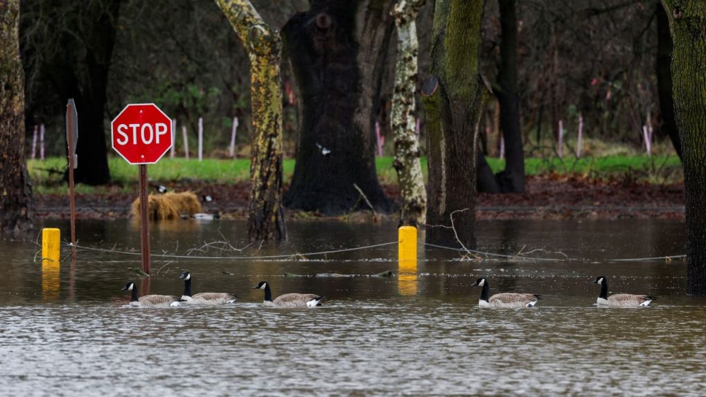 California Floods: Evacuations Ordered As Massive Storm Knocks Out ...