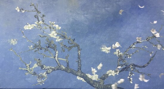 fleur d'amandier, exposition van gogh 360, exposition van gogh 360 mumbai, exposition van gogh 360 mumbai inde, prix van gogh 360 mumbai, billets van gogh 360 mumbai, van gogh 360 inde, prix van gogh 360, réservation de billets van gogh 360, van gogh 360 mumbai, fleur d'amandier, exposition van gogh 360, exposition van gogh 360 mumbai, exposition van gogh 360 mumbai inde, prix van gogh 360 mumbai, billets van gogh 360 mumbai, van gogh 360 inde, prix van gogh 360, réservation de billets van gogh 360, van gogh 360 mumbai,