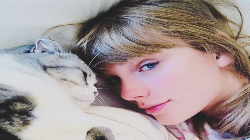 Taylor Swift's feline, Oprah's canines rank as third and fourth richest pets – here are the top 10