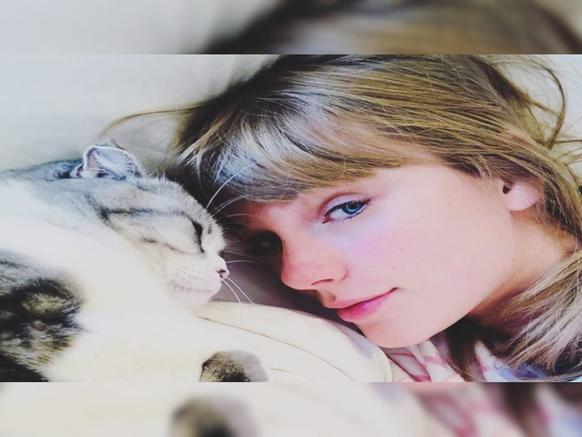 Taylor Swift's cat, Olivia Benson, is the world's third-richest