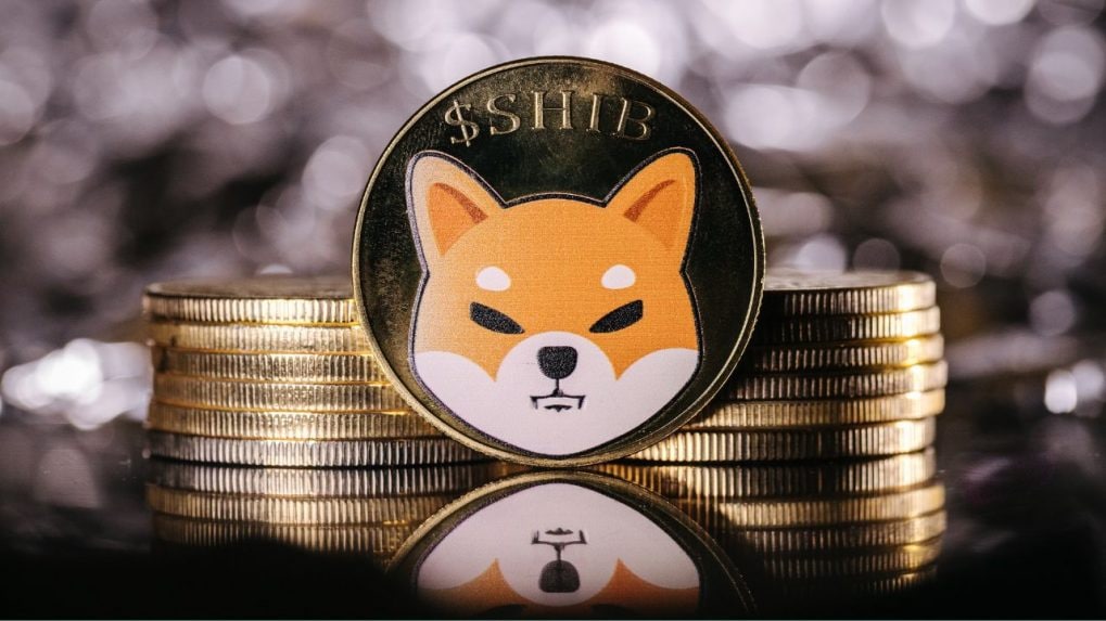 shiba inu rally intact even as major cryptos turn red