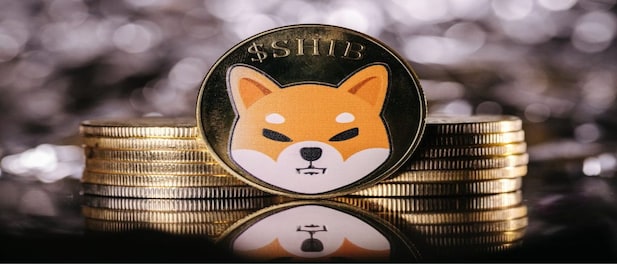 Shiba Inu is up 42% since the start of 2023 – here are some reasons for the rally
