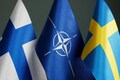 Swedish lawmakers vote to endorse country joining NATO