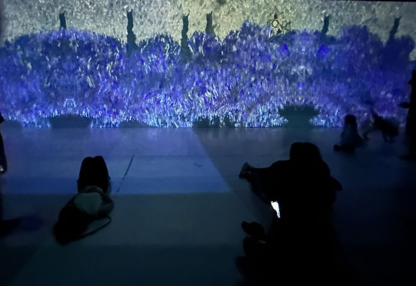 Vincent van Gogh Immersive Show in Mumbai: Dates, Tickets, Prices, van gogh  