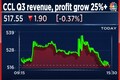 CCL Products profit, revenue grow above 25% in Q3, margin drops