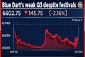 Full festive season fails to boost Blue Dart earnings - shares drop