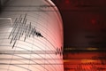 Earthquake of magnitude 5 strikes Nicobar islands region