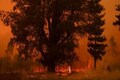 Forest fires in Chile kill at least 46 as blazes hit towns