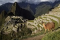 Uncovering secrets of the Amazon: A cultural and culinary tour of Peru