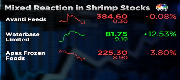 Budget 2023 | Shrimp stocks react mixed on post budget after govt slashes customs duty