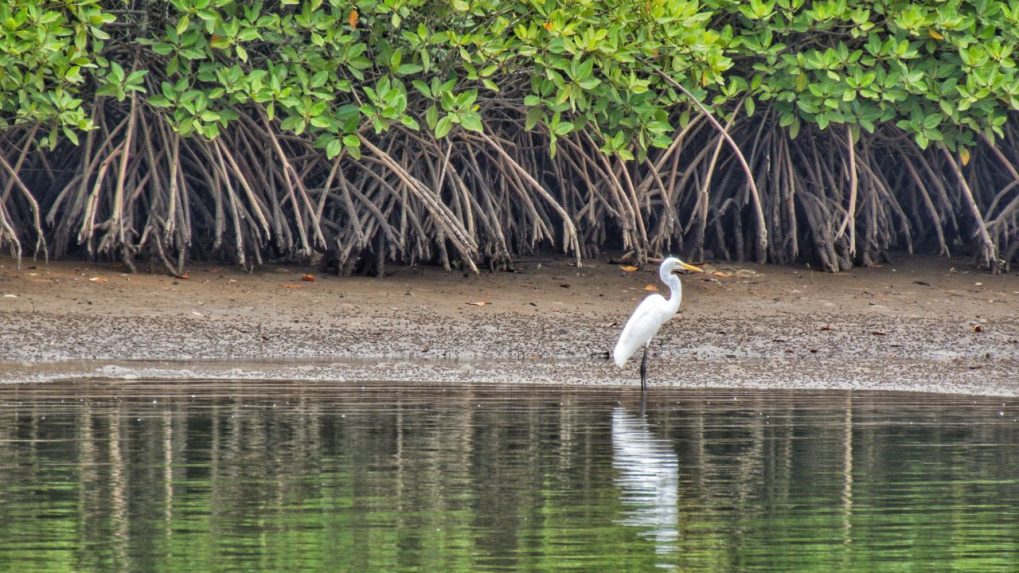 World Wetlands Day 2024 Check Out The Wetlands In India And Their   Wetlands Source Shutterstock 1019x573 