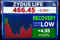 Zydus Life receives final USFDA approval for Pitavastatin tablets