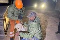 Meet NDRF canine heroes Romeo and Julie who helped rescue 6-year-old in quake hit Turkey