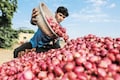 Onion export duty | Consumer affairs secretary says govt committed to provide relief to customers