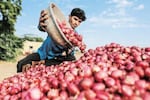 India opens some doors for onion exports after nearly five months of ban