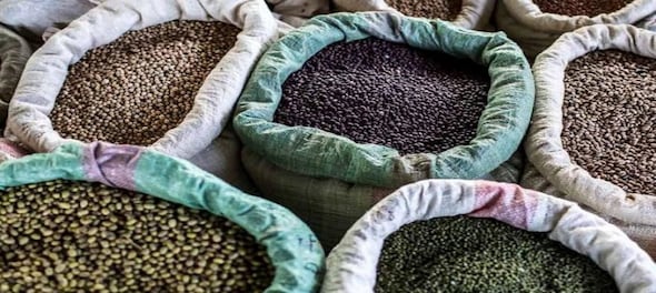 India imports 19.63 lakh ton of pulses during Apr-Oct of this fiscal