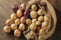 Maharashtra farmers continue to suffer as onion prices crash again