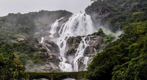 Goa Tourism Minister opposes 'blanket ban' on tourists visiting waterfalls during monsoon