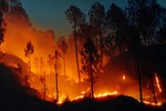 Nainital forest fire: Blaze reaches High Court Colony, Army called in