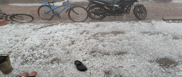 Committee formed to look into farmers' demands, says Maharashtra CM Shinde as hailstorms destroy Nanded crops