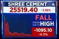 The key reason why Shree Cement is the top midcap loser in today's session