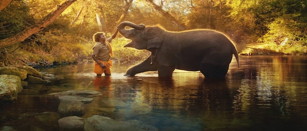 The Elephant Whisperers’ Oscar win puts wildlife conservation front and centre