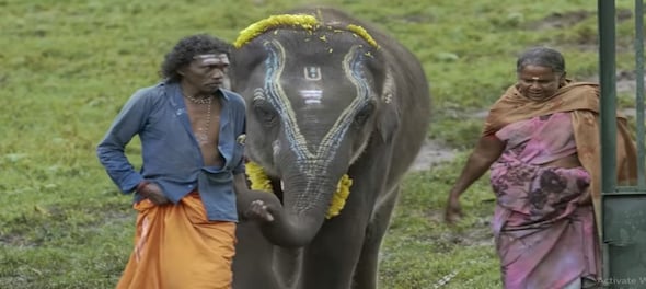 The Elephant Whisperers’ couple Bomman and Bellie welcome another 'Raghu'