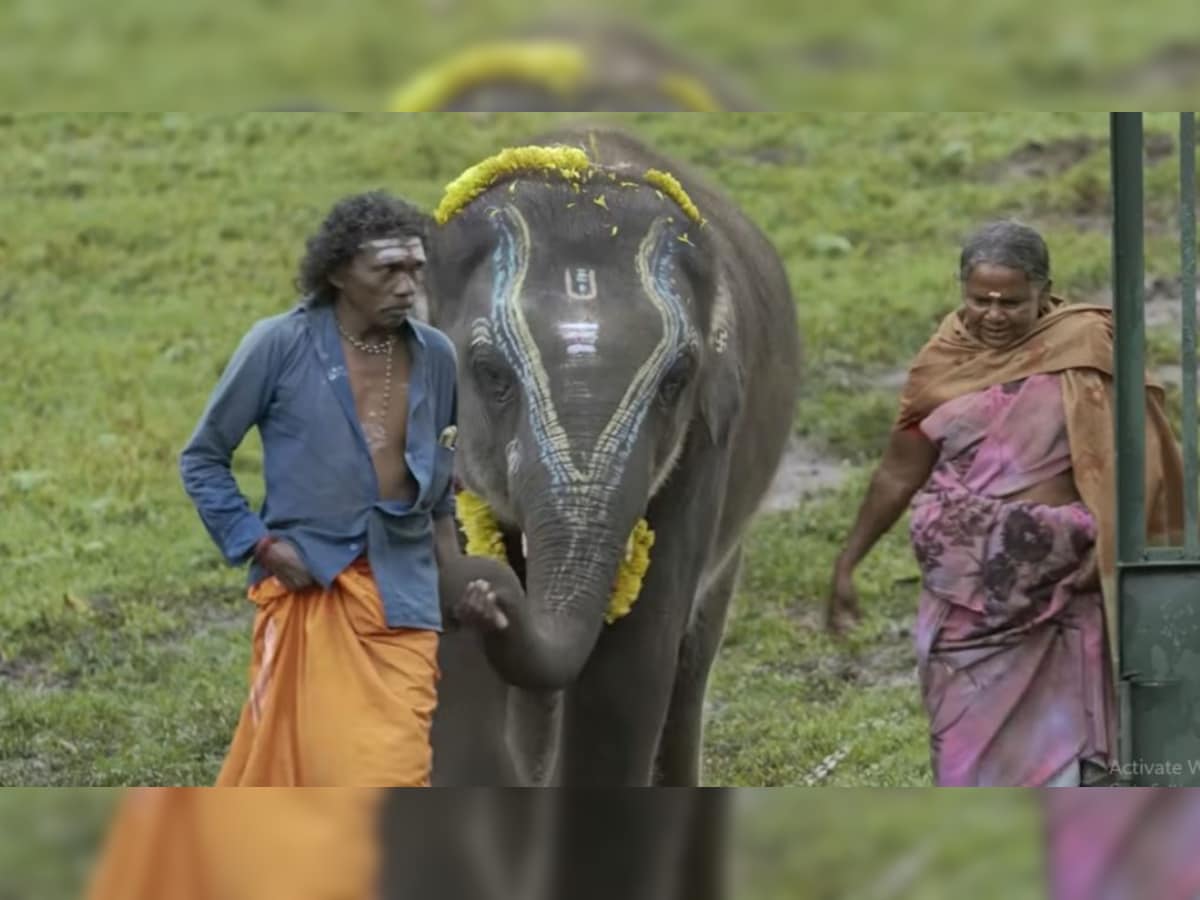 The Elephant Whisperers' couple Bomman and Bellie welcome another 'Raghu