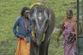 The Elephant Whisperers couple Bomman and Bellie receive a warm welcome on IndiGo flight