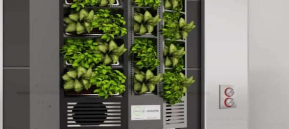 This Gurgaon-based biotech start-up has developed plant-based air purifiers; how do they work?