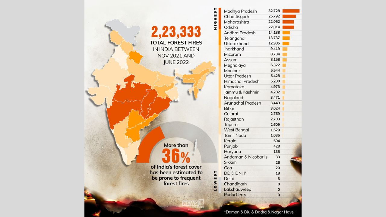 Forest fires rage across India — here's a roundup of recent incidents