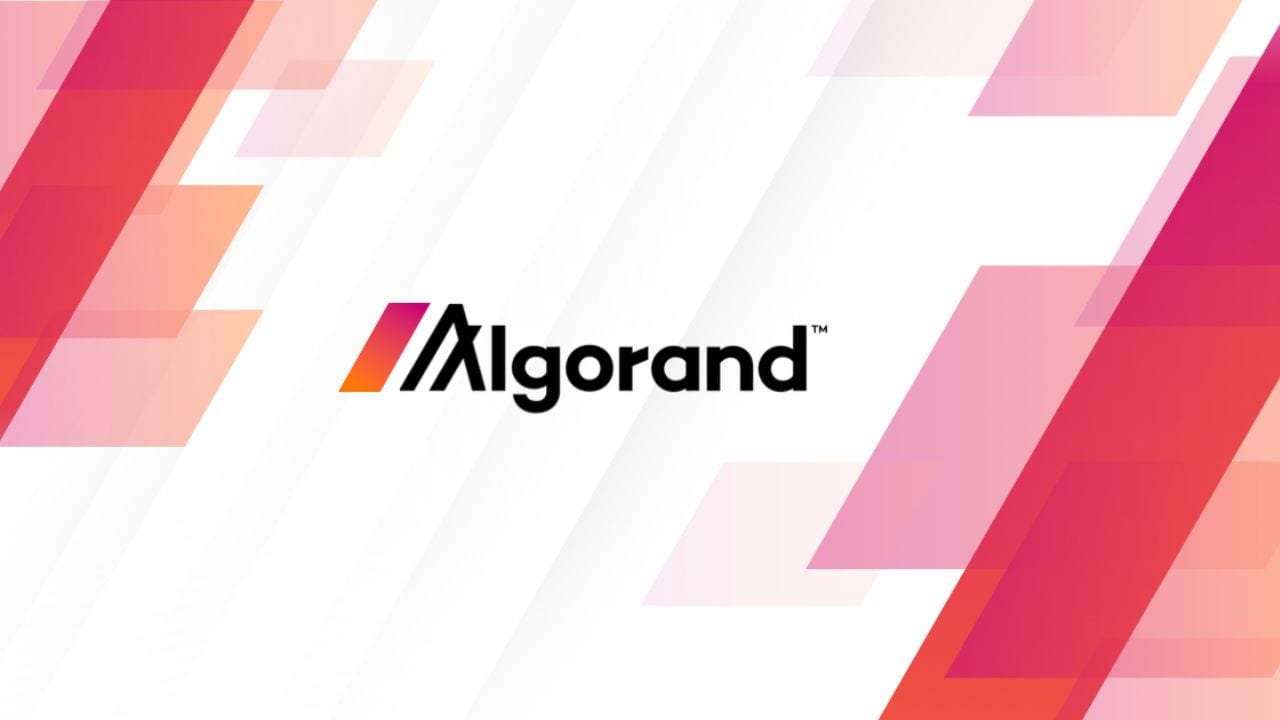 Everything you need to know about Algorand branching out to India - CNBC  TV18