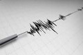 6.2 magnitude earthquake detected off southern coast of New Zealand