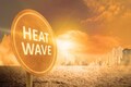 Should markets take India's heatwave seriously | Explained