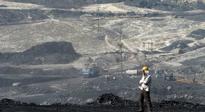 Coal India shares rise 5%, may hit ₹550; what's next for this PSU stock?