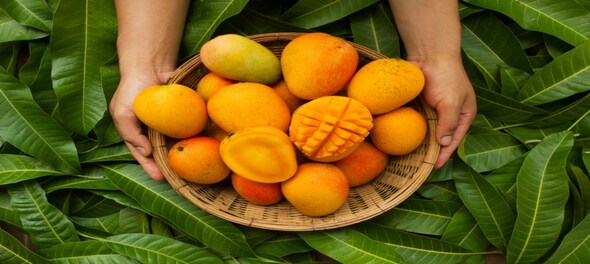 National Mango Day 2023: History, Significance, and interesting facts about the King of Fruits