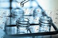 Neogen Chemicals aims revenue consolidation as pharma sector shows recovery signs