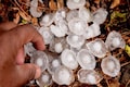 Yellow thunderstorm warning in Northeast after hailstorm kills 2 in Assam, damages 162 houses in Mizoram