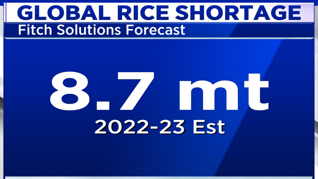 Global rice shortage is set to be largest in 20 years