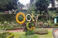 Sculptures of Malabar squirrel, earthworm and elephants grab eyeballs at Ooty fruit show