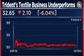 Trident shares fall 6% after Textile business leads to 16% revenue drop in Q4