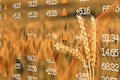 World food prices rise for first time in a year: FAO